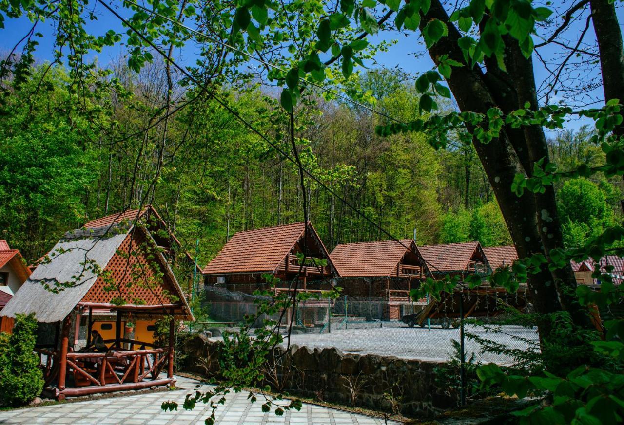 Toursit Complex Polyana Kvasova Hotel Buitenkant foto