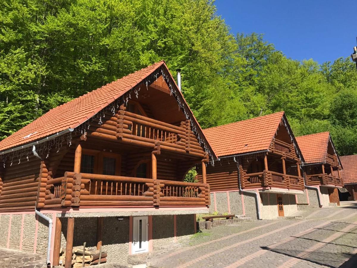 Toursit Complex Polyana Kvasova Hotel Buitenkant foto