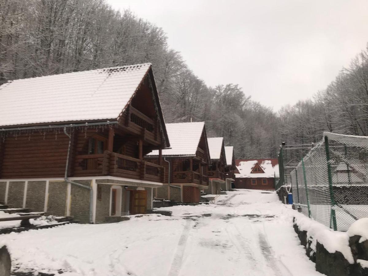 Toursit Complex Polyana Kvasova Hotel Buitenkant foto